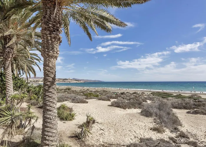Casa Walymar كوستا كالما